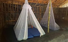 Ida Guest House & Jungle Trekking